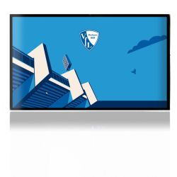 Folien für Spielekonsolen matt