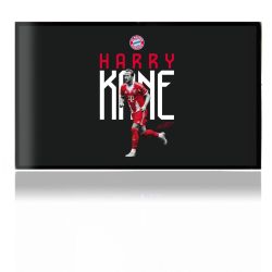 Foils for Consoles matt