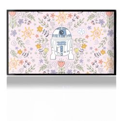 Folien für Spielekonsolen matt