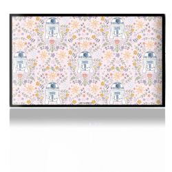 Folien für Spielekonsolen matt