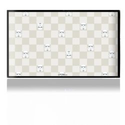 Folien für Spielekonsolen matt