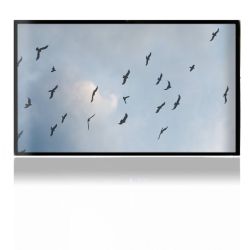 Foils for Consoles matt