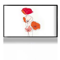 Foils for Consoles matt