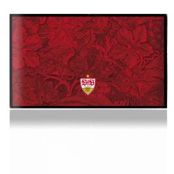 Folien für Spielekonsolen matt