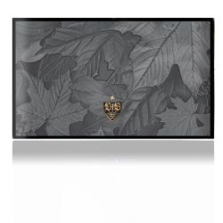 Folien für Spielekonsolen matt