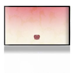 Folien für Spielekonsolen matt