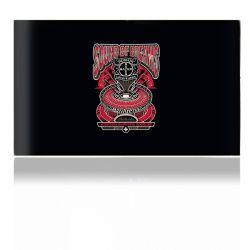 Folien für Spielekonsolen matt