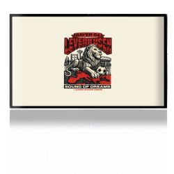 Folien für Spielekonsolen matt