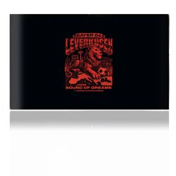 Folien für Spielekonsolen matt