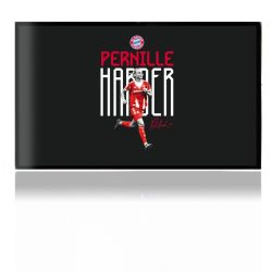 Folien für Spielekonsolen matt