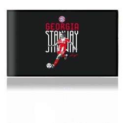 Folien für Spielekonsolen matt