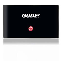 Folien für Spielekonsolen matt