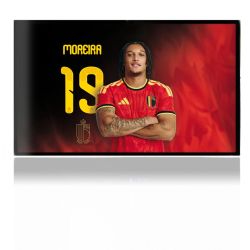 Foils for Consoles matt