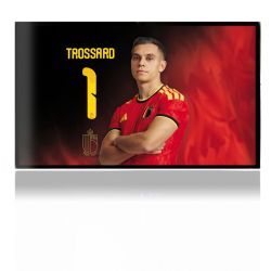 Foils for Consoles matt