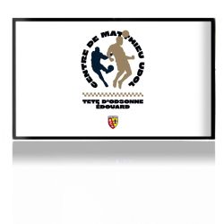 SkinVinyyli Konsoleille mattapinta