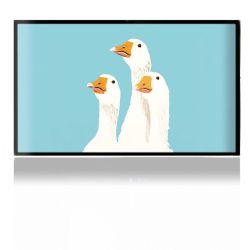 Foils for Consoles matt