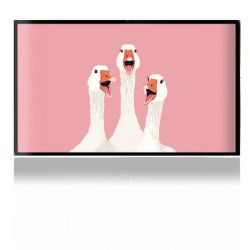 Foils for Consoles matt