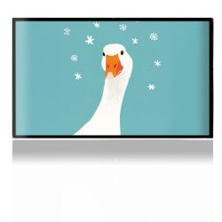 Foils for Consoles matt