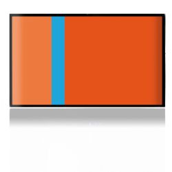 SkinVinyyli Konsoleille mattapinta