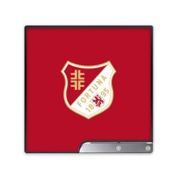 Folien für Spielekonsolen matt