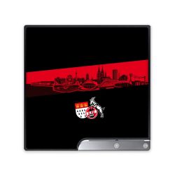 Folien für Spielekonsolen matt