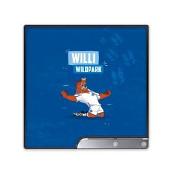 Folien für Spielekonsolen matt