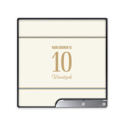 Folien für Spielekonsolen matt