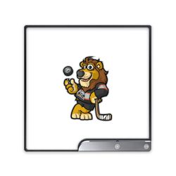 Folien für Spielekonsolen matt