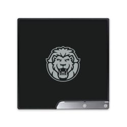 Folien für Spielekonsolen matt