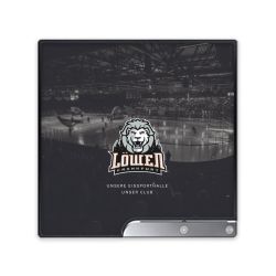 Folien für Spielekonsolen matt