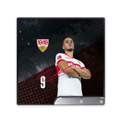 Folien für Spielekonsolen matt