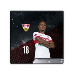 Folien für Spielekonsolen matt