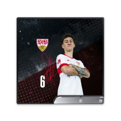 Folien für Spielekonsolen matt