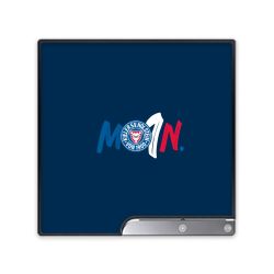 Folien für Spielekonsolen matt