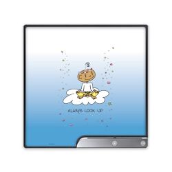 Folien für Spielekonsolen matt