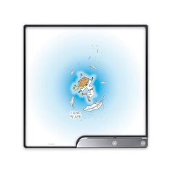 Folien für Spielekonsolen matt