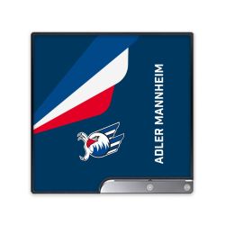 Folien für Spielekonsolen matt