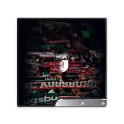 Folien für Spielekonsolen matt