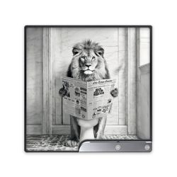 Foils for Consoles matt