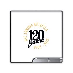 Folien für Spielekonsolen matt