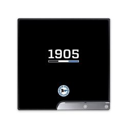 Folien für Spielekonsolen matt