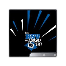 Folien für Spielekonsolen matt