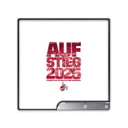 Folien für Spielekonsolen matt