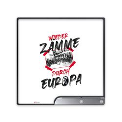 Folien für Spielekonsolen matt