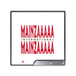 Folien für Spielekonsolen matt