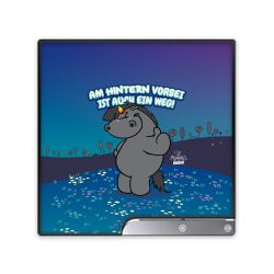 Folien für Spielekonsolen matt