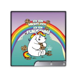 Folien für Spielekonsolen matt