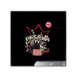 Folien für Spielekonsolen matt