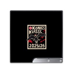 Folien für Spielekonsolen matt