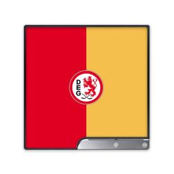 Folien für Spielekonsolen matt